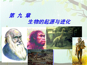 《普通生物学》生物的起源与进化课件.ppt