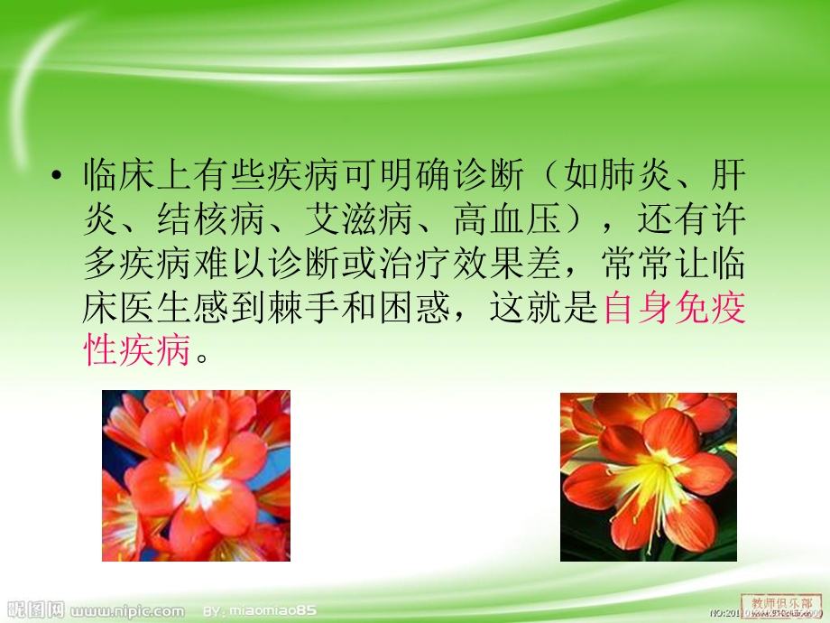 《自身免疫性疾病》PPT课件.ppt_第2页