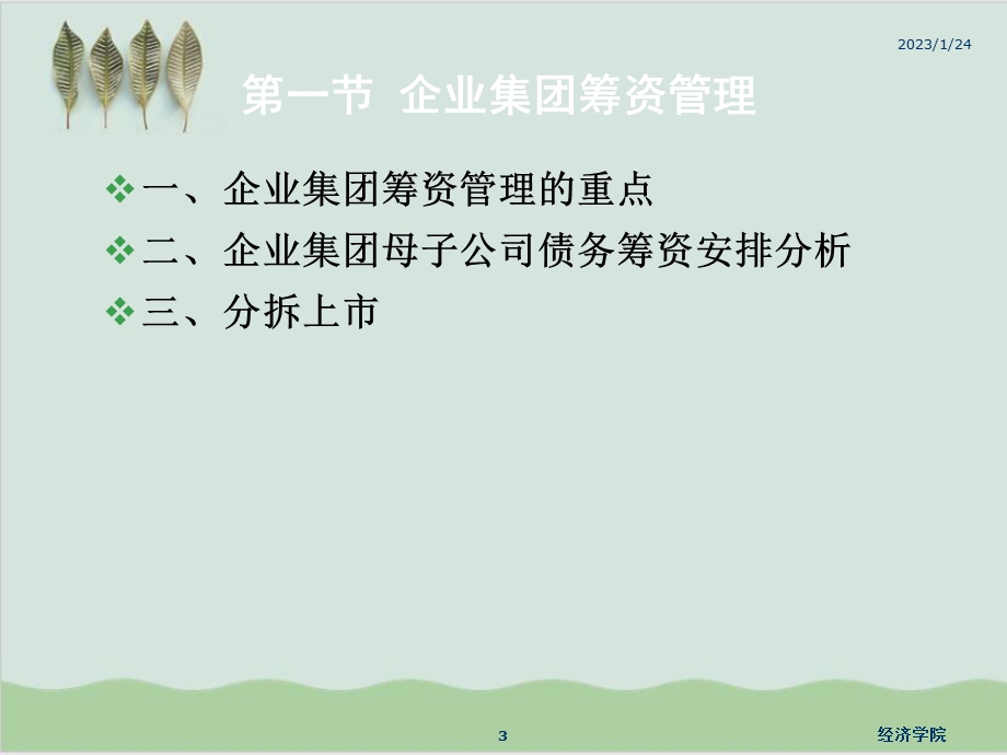 企业集团的资金运筹课件.ppt_第3页