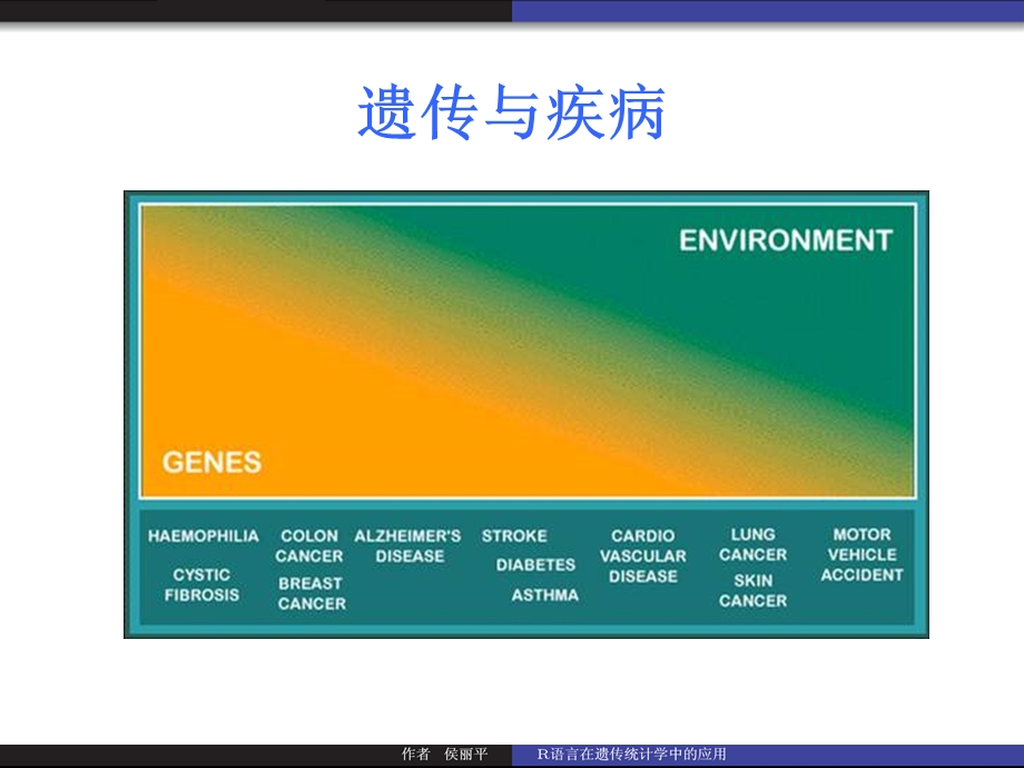 R语言在遗传统计学中的应用课件.ppt_第3页