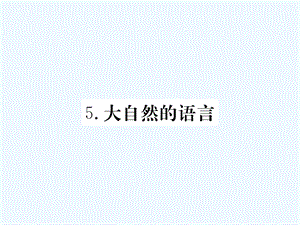 八年级语文下册第二单元大自然的语言习题ppt课件人教版.ppt