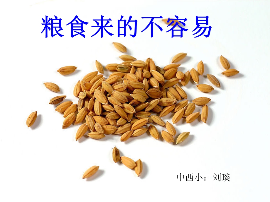 来之不易的粮食课件.ppt_第1页