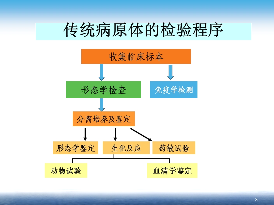 临床分子诊断学：第十章 感染性疾病的分子生物学检验课件.ppt_第3页