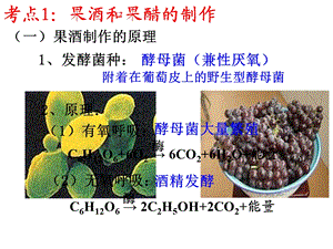 传统发酵技术的应用课件.ppt