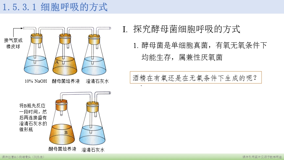 细胞呼吸的原理与应用（改）ppt课件.pptx_第3页