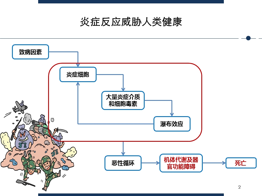 乌司他丁的药理特性及临床应用课件.ppt_第2页