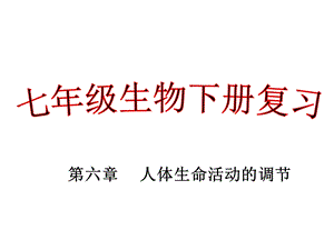 人教七年级下册生物第六章人体生命活动的调节复习ppt课件.ppt