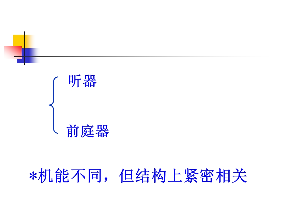 前庭蜗器解剖知识课件.ppt_第1页