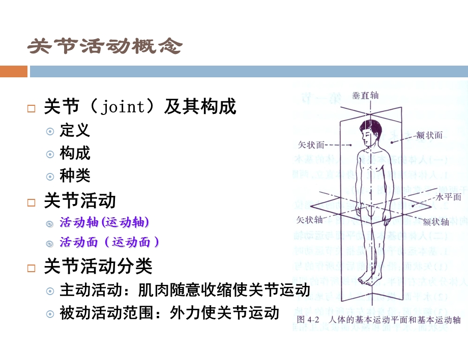 关节活动度测量课件.ppt_第3页