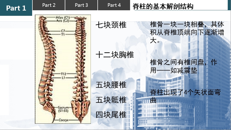 保护脊柱正确坐姿课件.ppt_第1页