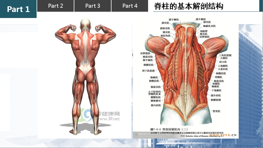 保护脊柱正确坐姿课件.ppt_第2页