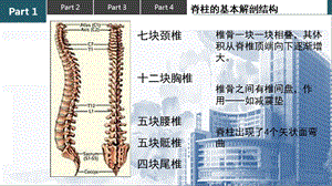 保护脊柱正确坐姿课件.ppt