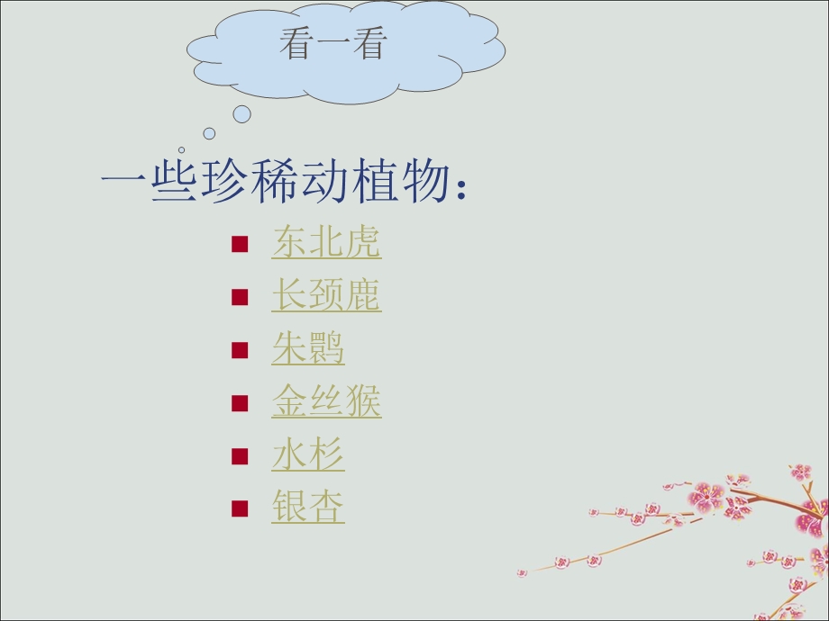 六年级科学上册第2章生物的世界2.4濒临灭绝的生物一些珍稀动植物教学ppt课件牛津上海版.ppt_第2页