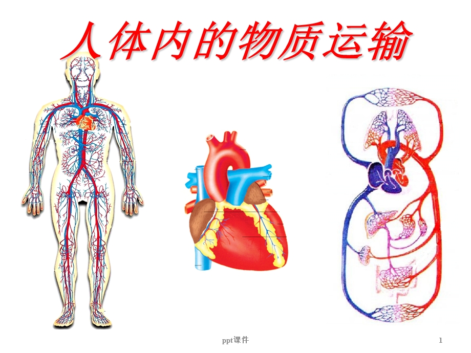 七年级生物下册第三章《人体内物质的运输》课件.ppt_第1页