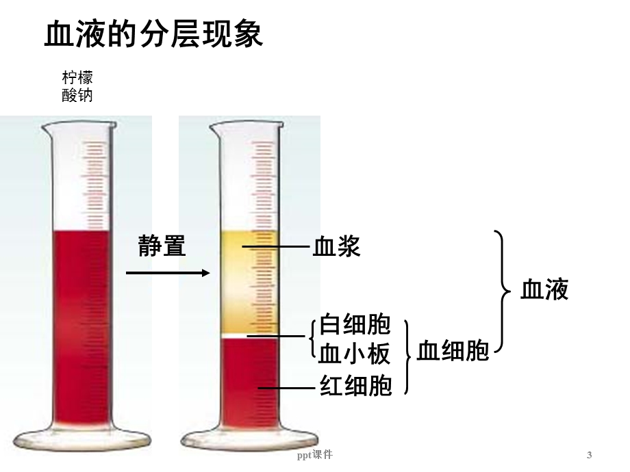 七年级生物下册第三章《人体内物质的运输》课件.ppt_第3页