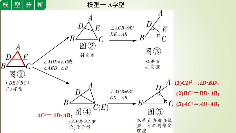 初中数学 相似三角形(2)——常考模型课件.pptx_第2页