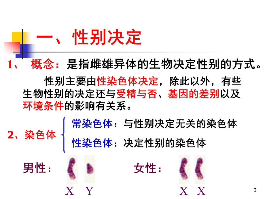 伴性遗传上课用课件.ppt_第3页