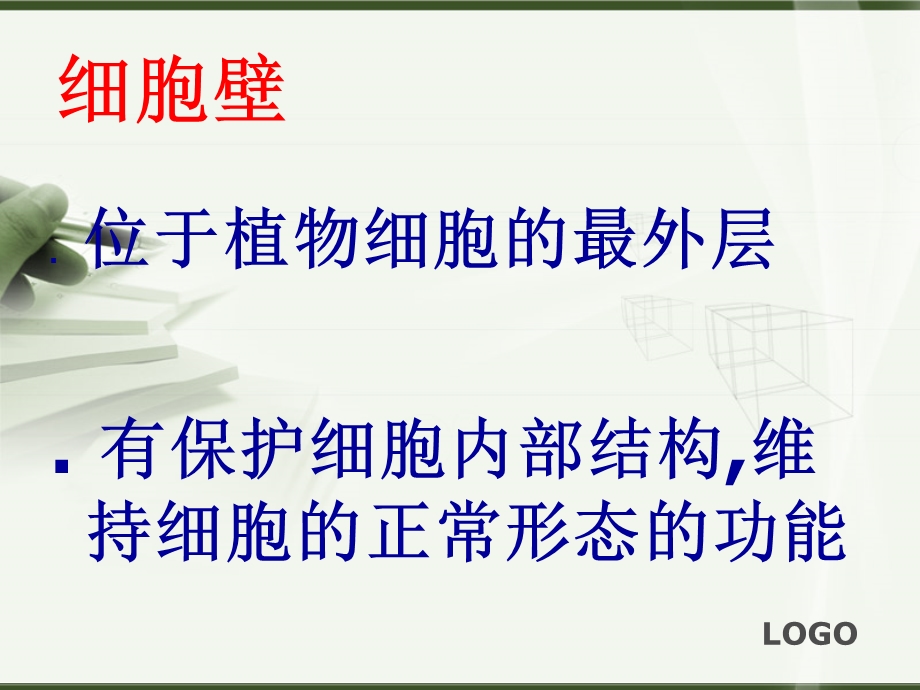 动植物细胞的结构和功能课件.ppt_第2页