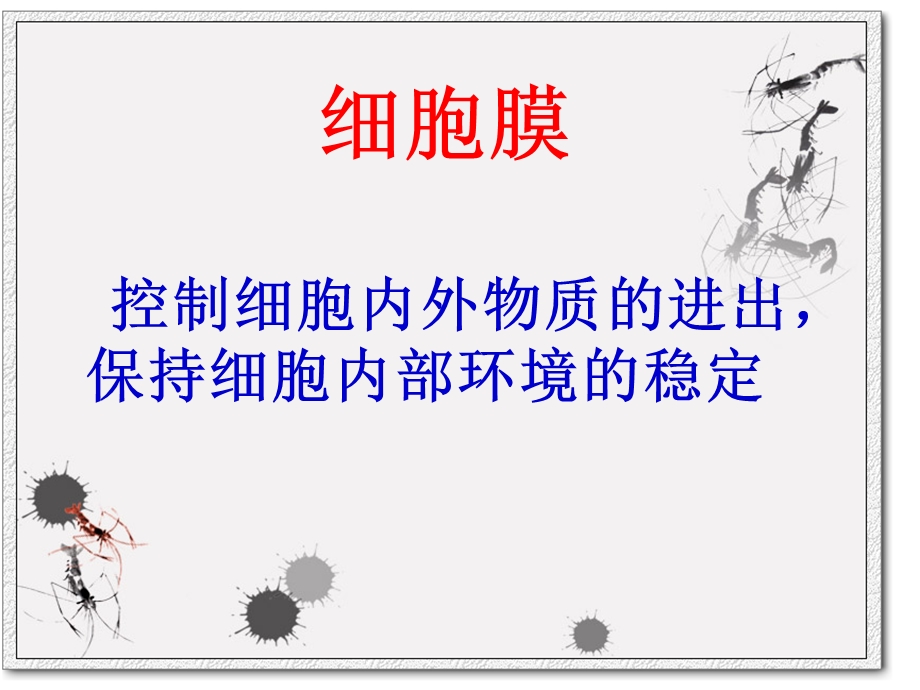 动植物细胞的结构和功能课件.ppt_第3页