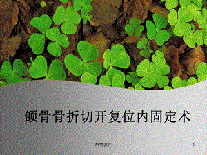 上下颌骨骨折课件.ppt