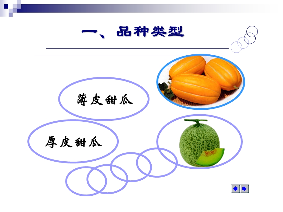 第四节甜瓜课件.ppt_第3页