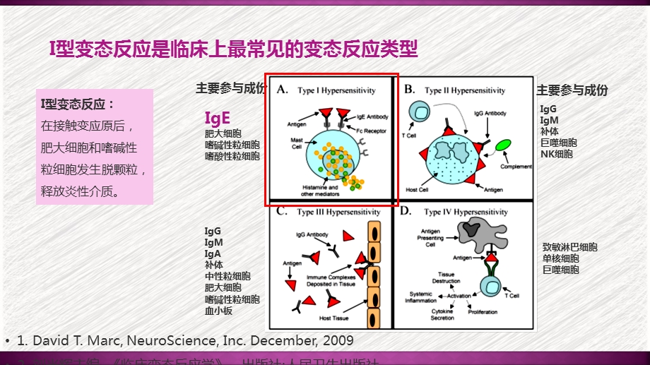 IgE与抗IgE治疗在哮喘过敏级联反应中的作用课件.ppt_第3页