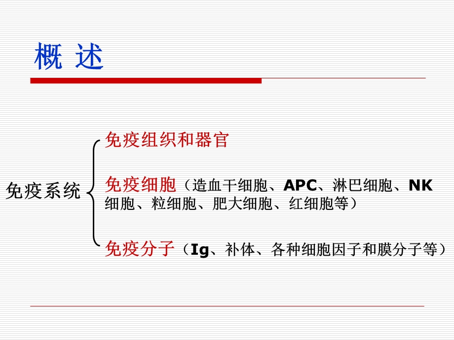 免疫器官和组织课件.ppt_第2页