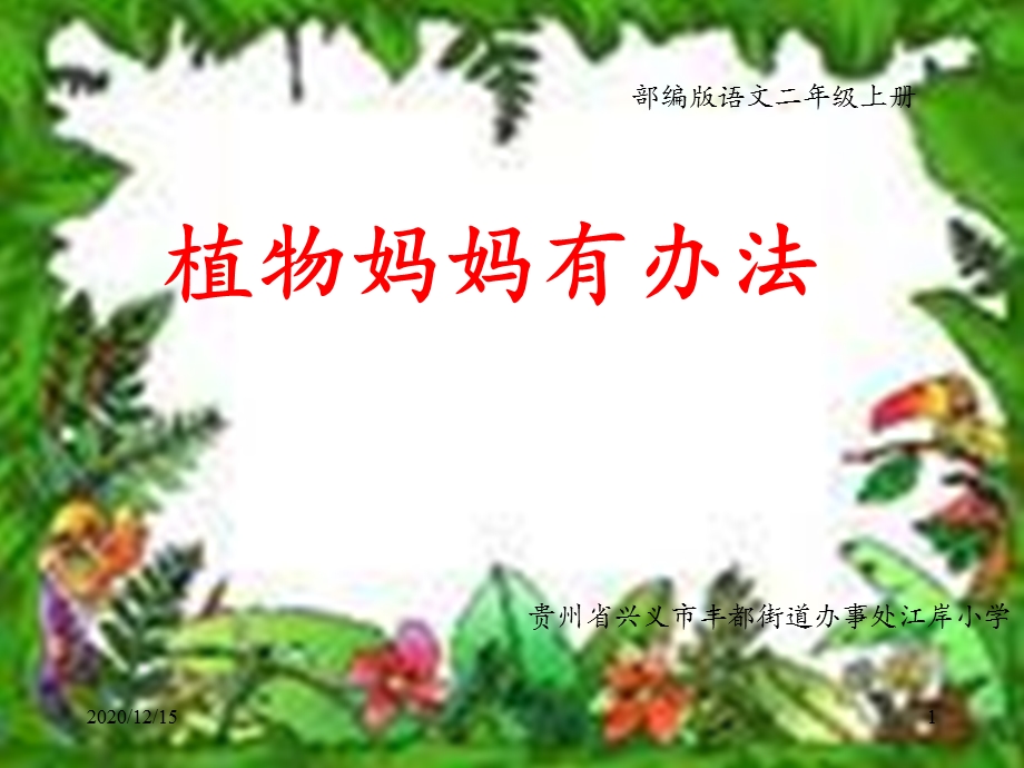 《植物妈妈有办法》微课 课件.pptx_第1页