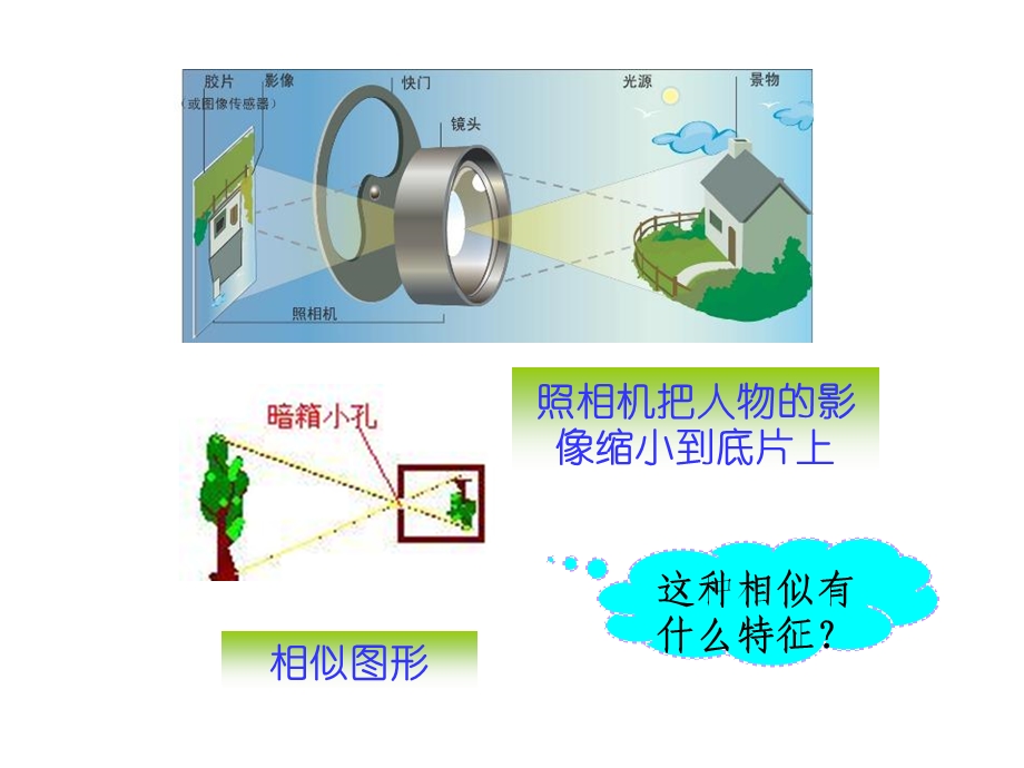 九年级数学北师大版上册ppt课件：4.8 图形的位似.ppt_第3页