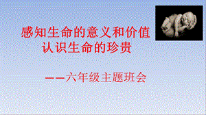 主题班会《生命的意义》学习资料课件.pptx