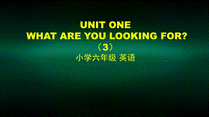 六年级英语(北京版) UNIT ONE WHAT ARE YOU LOOKING FOR课件.pptx