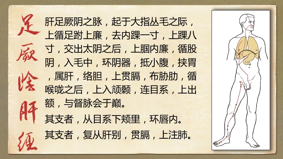 足厥阴肝经教程课件.ppt_第2页