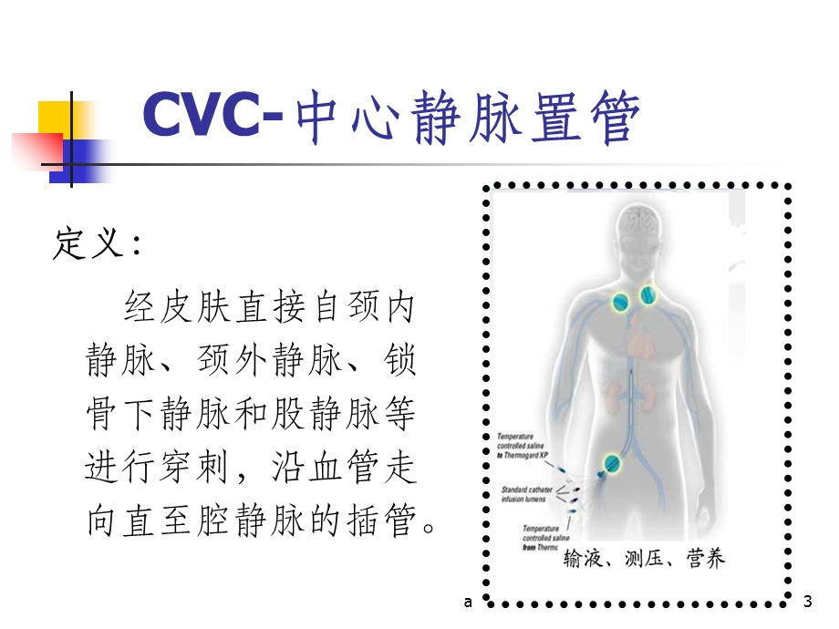 中心静脉置管的相关知识课件.ppt_第3页