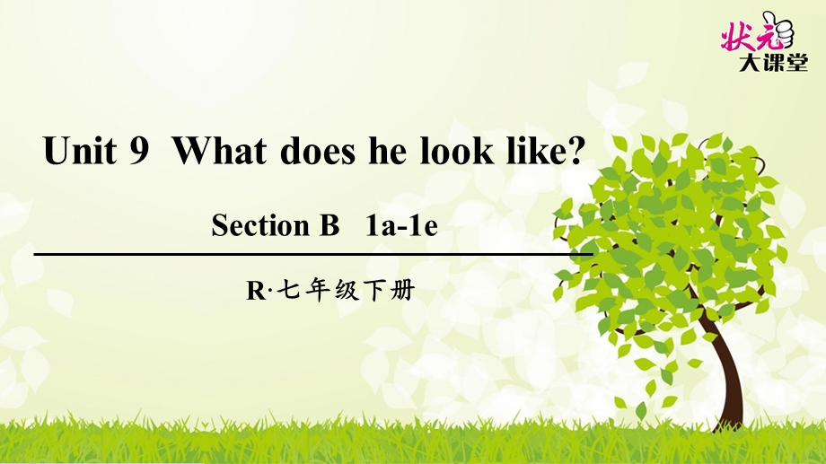 人教版英语七年级下册 Unit 9 What does he look like第3课时(B 1a 1e)课件.ppt_第1页