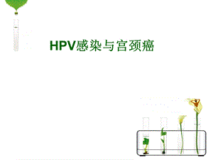 HPV感染与宫颈癌完整版本课件.ppt