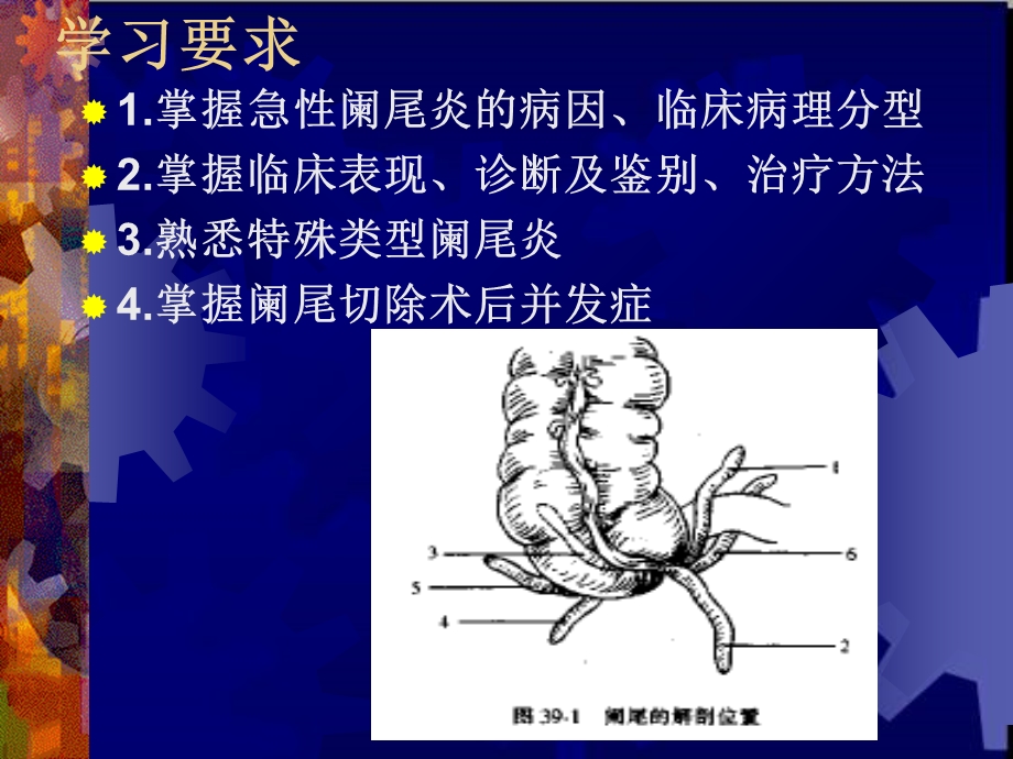 临床医学概要34阑尾炎溃疡穿孔课件.ppt_第2页