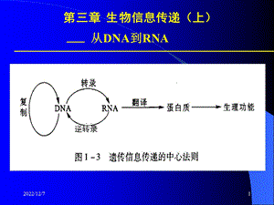 分子生物学 第三章 生物信息传递(上) 课件.ppt