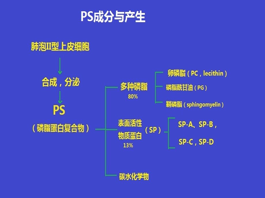 儿科学 新生儿呼吸窘迫综合征知识讲解课件.ppt_第3页