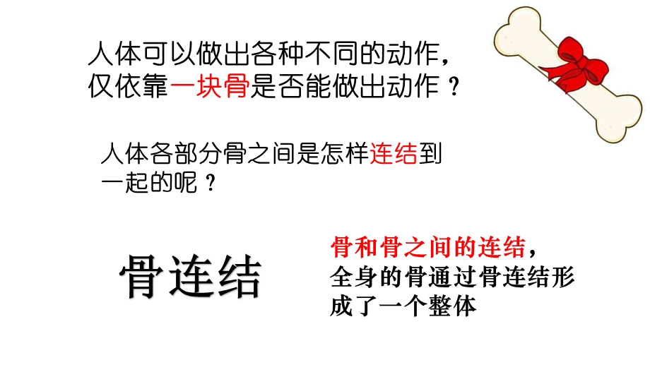 京改版八年级上 动物的运动运动系统关节ppt课件.pptx_第1页