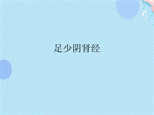 足少阴肾经完整版课件.ppt