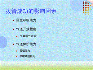 气囊漏气试验ppt文档课件.ppt