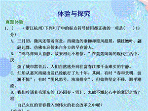 九年级中考专题复习：《标点符号》ppt课件资料.ppt