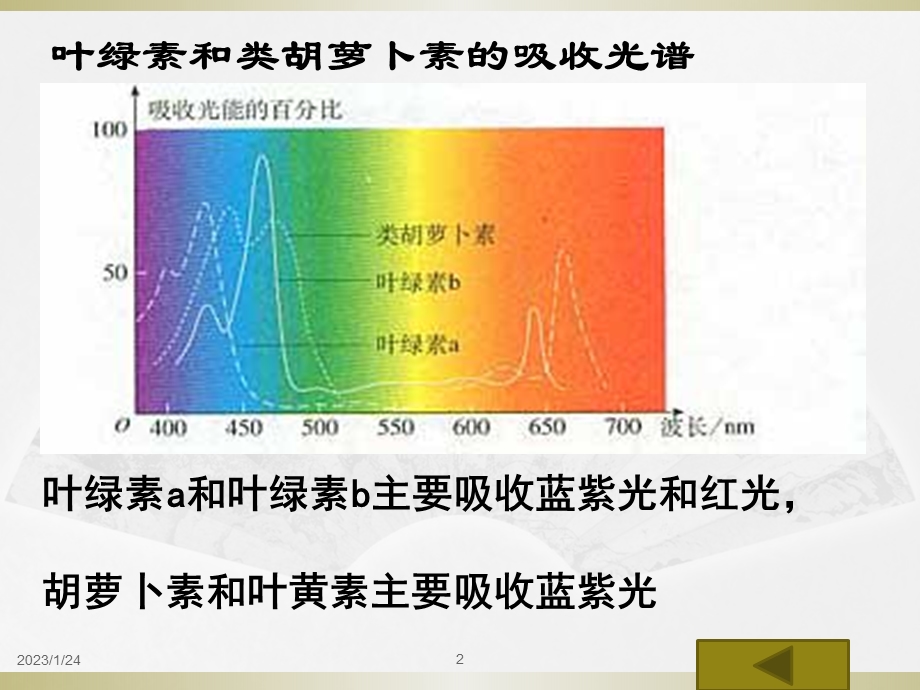 光合作用的探究历程与过程课件.ppt_第2页