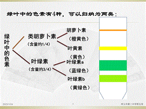 光合作用的探究历程与过程课件.ppt