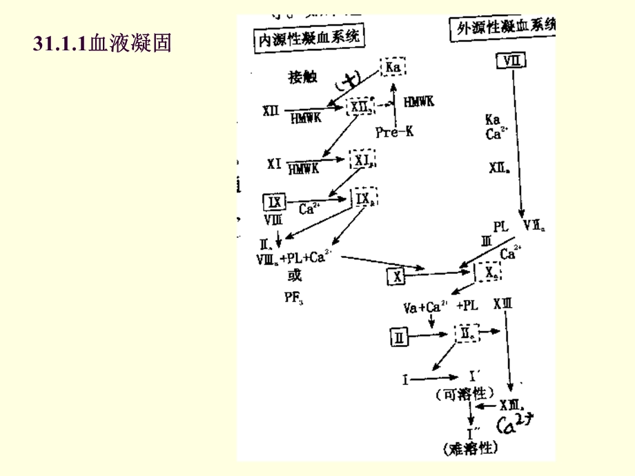 作用于血液及造血系统药课件.ppt_第2页