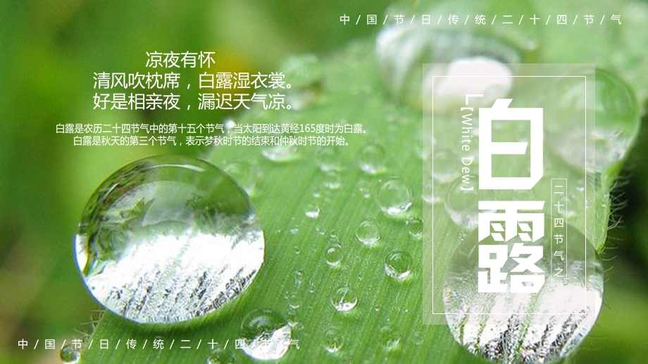 绿色清新简约白露节气介绍PPT模板课件.pptx_第1页