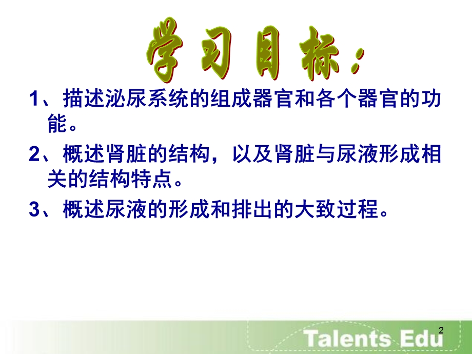 人体内尿液的形成与排出课件.ppt_第2页