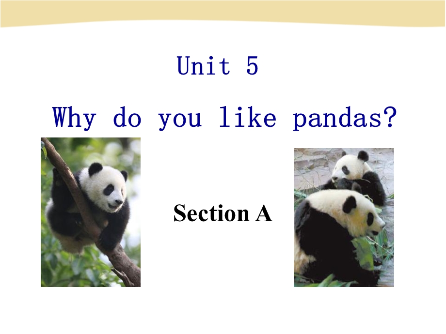 人教版七年级英语下册《Unit5 Why do you like pandas？》ppt课件.ppt_第1页