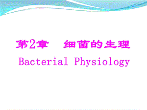 细菌的生理学课件.ppt