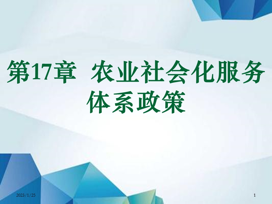 农业政策学ppt课件 第17章 农业社会化服务体系政策.ppt_第1页